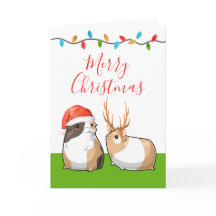 Feliz Natal Porquinhos-da-índia Bonitos Papai Noel