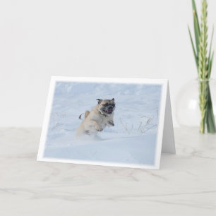 Cartão De Festividades Feliz Natal Pug Tocando no Natal da Neve
