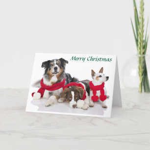 Cartão De Festividades Feliz Natal Pups