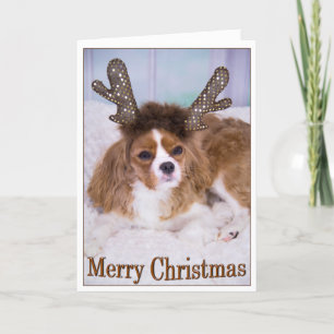 Cartão De Festividades Feliz Natal Raindeer Cavalier King Charles