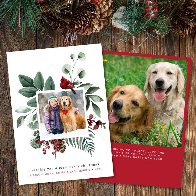 Cartão De Festividades Feliz Natal Red Cardinal 2 Foto (Criador carregado)