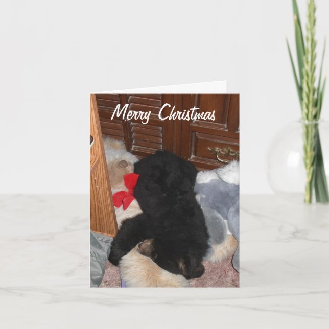 Cartão De Festividades Feliz Natal - Shenandoah brilhante (Frente)