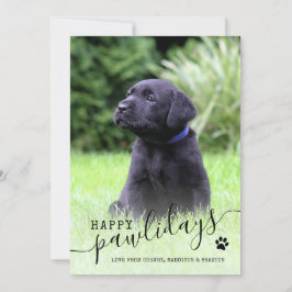 Cartão De Festividades Feliz Natalzinho Cachorrinho Foto Moderno Pet Nata