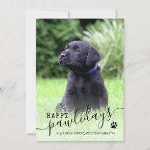 Cartão De Festividades Feliz Natalzinho Cachorrinho Foto Pet Natal Modern