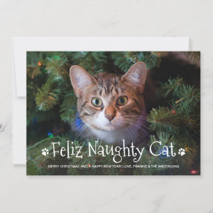 Cartão De Festividades Feliz Naughty Cat Engraçado Foto Personalizada de 