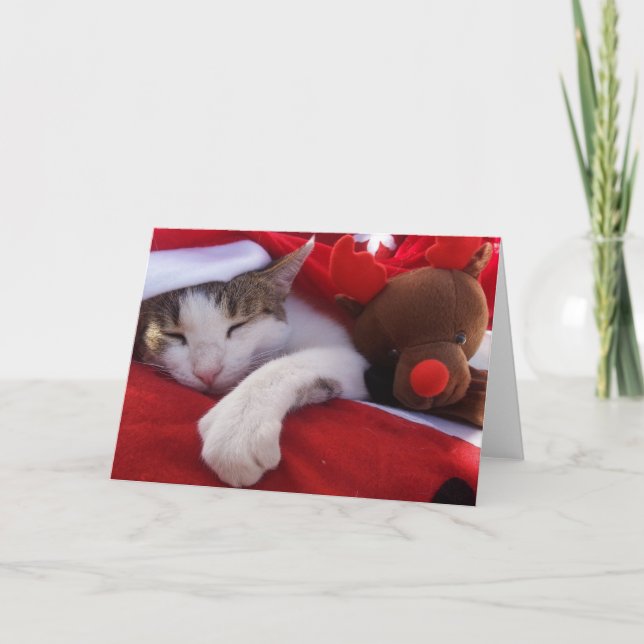 Cartão De Festividades Feliz Navidad (Frente)