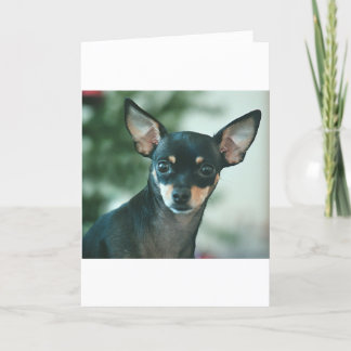 Cartão De Festividades Feliz Navidad