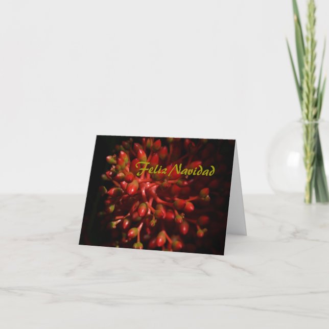 Cartão De Festividades Feliz Navidad (Frente)