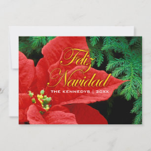 Cartão De Festividades Feliz Navidad - Arco Red Poinsettia e Fir