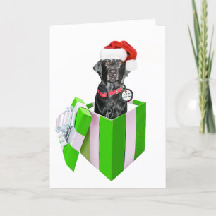 Cartão De Festividades Feliz Navidog