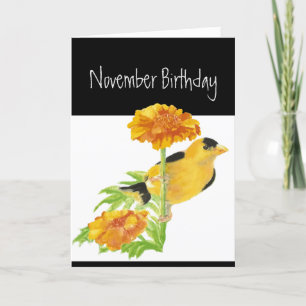 Cartão De Festividades Feliz NovembroArte de Pássaro de Jardim Humor