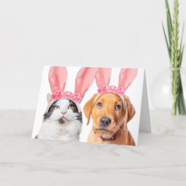 Cartão De Festividades Feliz Páscoa Gatinho Fofo e Cachorrinho de Orelhas