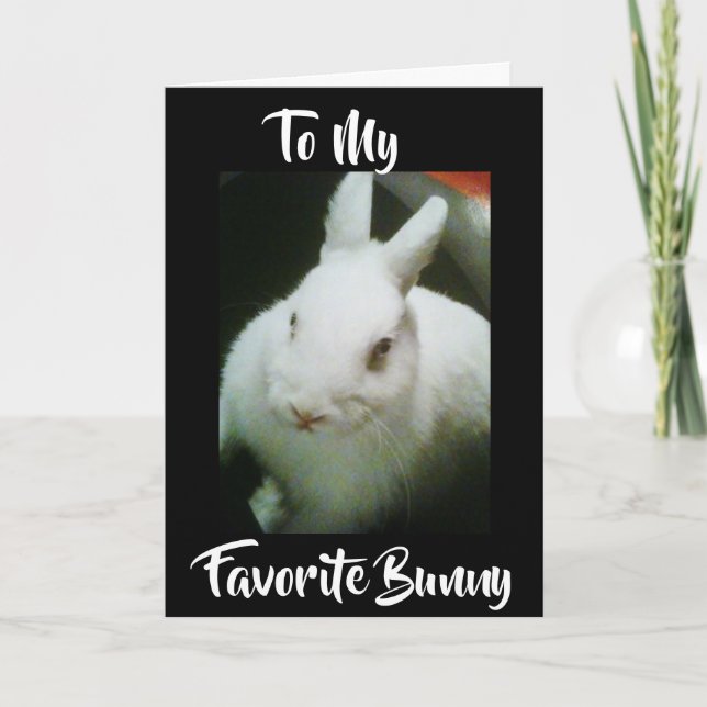 CARTÃO DE FESTIVIDADES FELIZ **PÁSCOA** PARA O MEU "BUNNY" (Frente)