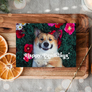 Cartão De Festividades Feliz Pawlidays Cachorro Foto Engraçada Natal