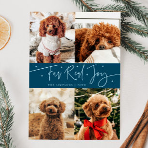 Cartão De Festividades Feliz Pele Real Jogo Foto do Cachorro Teto Natal