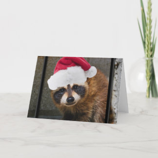 Cartão De Festividades Feliz Raccoon Natal