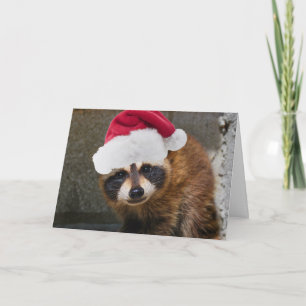 Cartão De Festividades Feliz Raccoon Natal