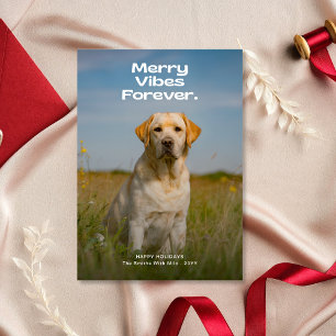 Cartão De Festividades Feliz Vibes para o Cachorro Foto de Natal