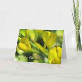 Cartão De Festividades Felz pascoa