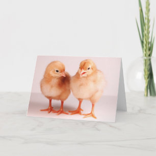 Cartão De Festividades Felz pascoa!