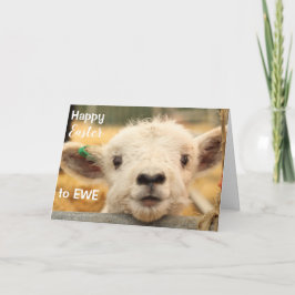 Cartão De Festividades Felz pascoa à EWE.