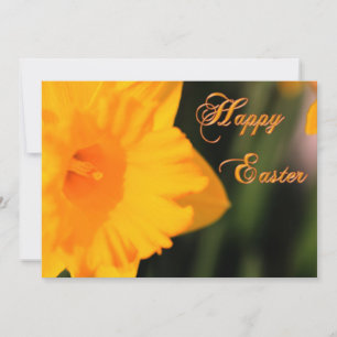 Cartão De Festividades Felz pascoa Amarelo Flor Daffodilo do Primavera