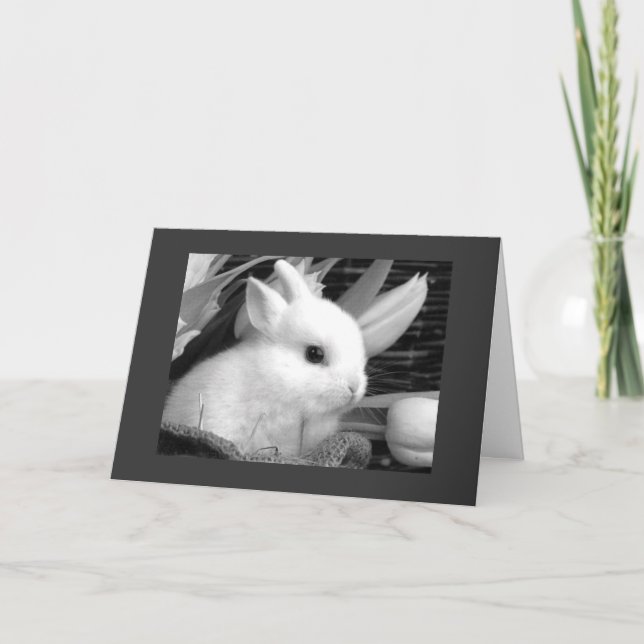 CARTÃO DE FESTIVIDADES FELZ PASCOA AO MEU "QUERIDA" (Frente)