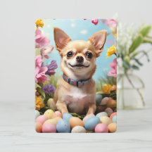 Felz pascoa Chihuahua