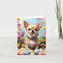 Felz pascoa Chihuahua