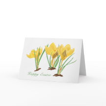 Felz pascoa de Flores de Croco Amarelo Vibrante