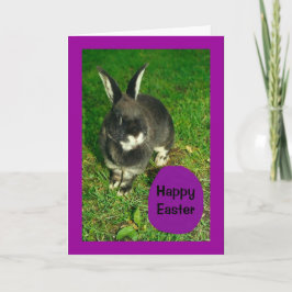 Cartão De Festividades Felz pascoa de Somebunny que o ama!