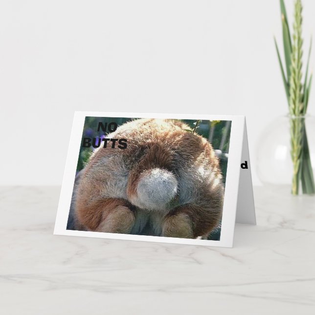 CARTÃO DE FESTIVIDADES FELZ PASCOA/NÃO HÁ BUMBUNS SOBRE ESTE DESEJO (Frente)