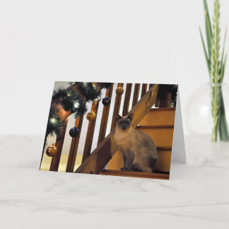 Cartão De Festividades Feriado 2 Siamese