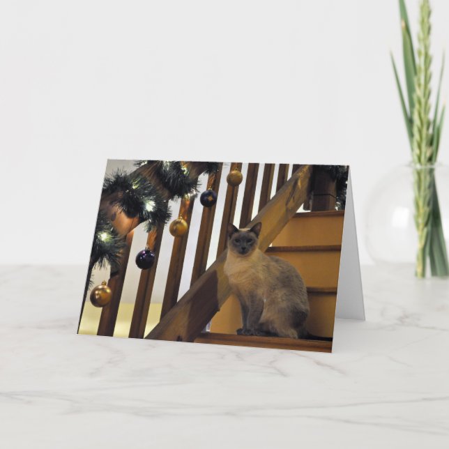 Cartão De Festividades Feriado 2 Siamese (Frente)