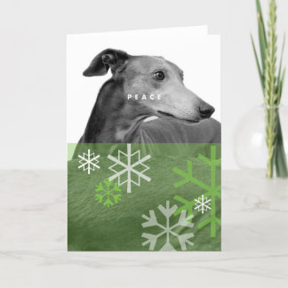 Cartão De Festividades Feriado Card_4