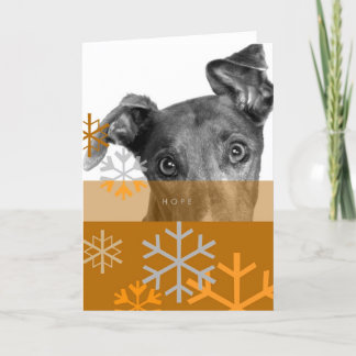 Cartão De Festividades Feriado Card_7