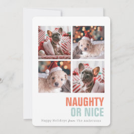 Cartão De Festividades Feriado de fotos simples Pet 4 malvado ou legal