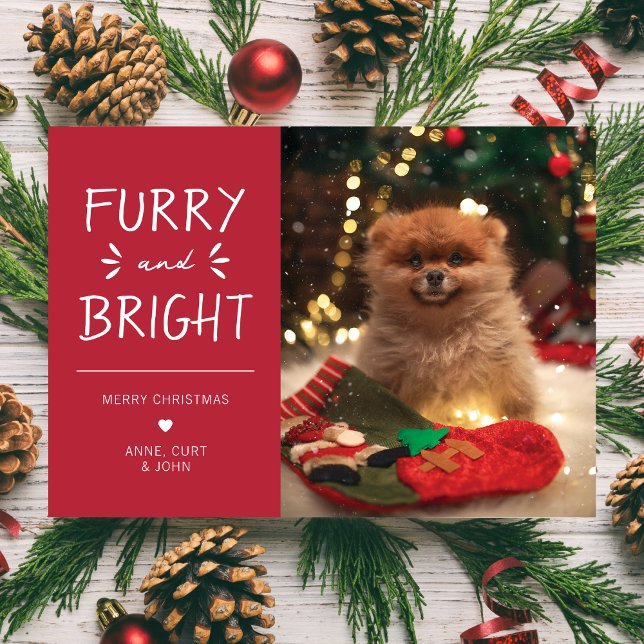 Cartão De Festividades Feriado de Natal para Pet Furry e Bright (Criador carregado)