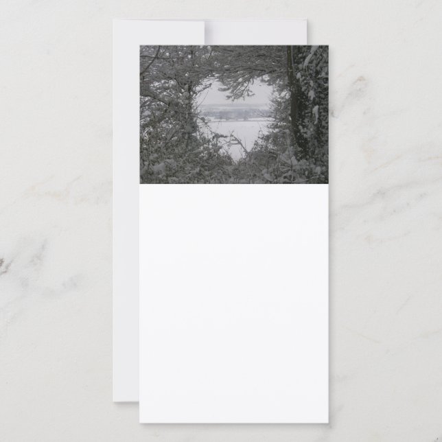 Cartão De Festividades Feriado de Neve Negra e Branca (Frente)