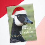 Cartão De Festividades Feriado de Santa Hat Vestido por ganso do Canadá<br><div class="desc">Um cartão de cartões de natal de Natal brilhante que mostra a foto de um ganso canadiano vestindo um chapéu vermelho de Papai Noel e colar de groselha. Selecione entre um cartão de estilo mate ou brilhante. Um design de animal divertido para o feriado!</div>