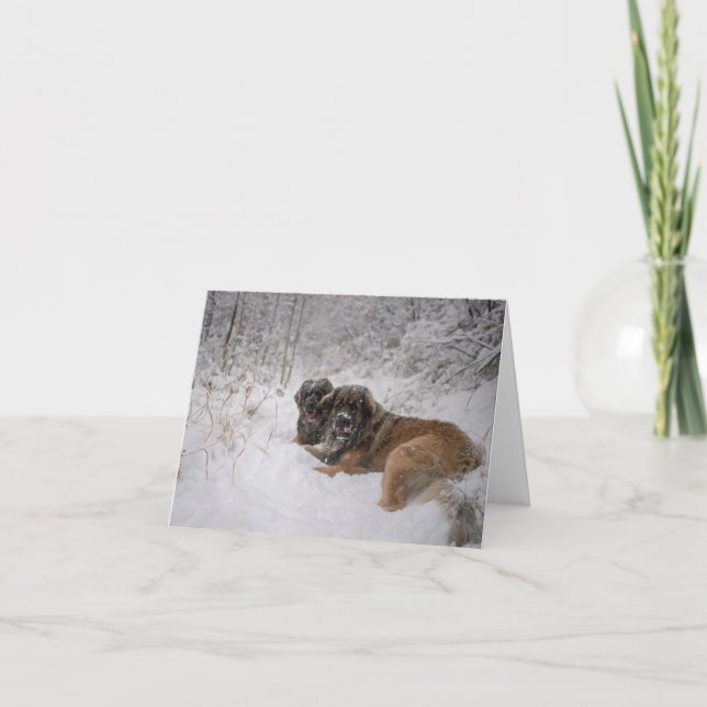 Cartão De Festividades Feriado Juntos (Frente)