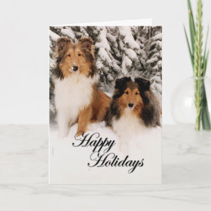 Cartão De Festividades Feriado Shelties