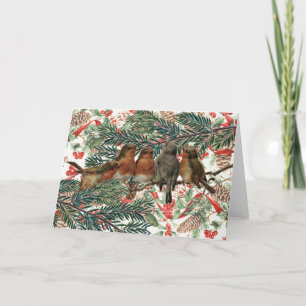 Cartão De Festividades Feriado Vermelho de Natal europeu Robin Birds