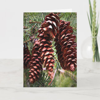 Cartão De Festividades Feriados de inverno Pinecones Natal Evergreen