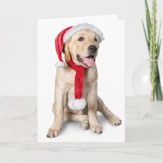 Cartão De Festividades Feriados de Natal com um laboratório amarelo bonit