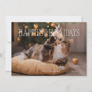 Cartão De Festividades Feriados Felizes, Gato de Natal Personalizado