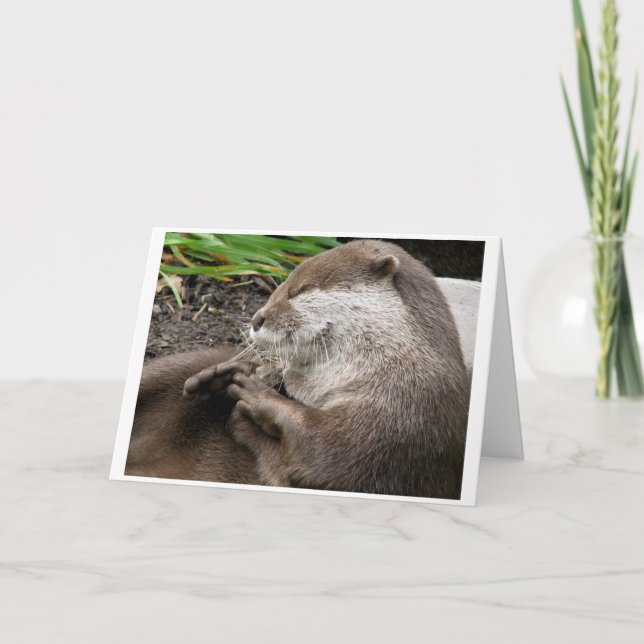 Cartão De Festividades feriados Lontra-LY surpreendentes (Frente)