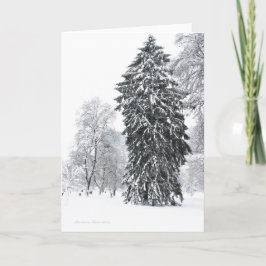 Cartão De Festividades Férias de Inverno no Parque Jardim Público de Bost