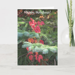 Cartão De Festividades Férias Felizes