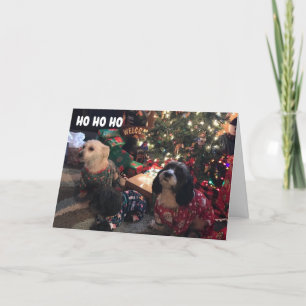 CARTÃO DE FESTIVIDADES **FÉRIAS FELIZES** DE BOMBAS DE FELIZ